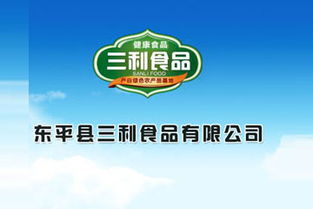 东平湖牌特制红薯粉条袋装 加盟批发优势与广告设计策略